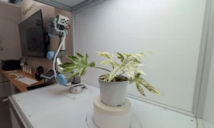 RoboCrops Chelsea Flower Show