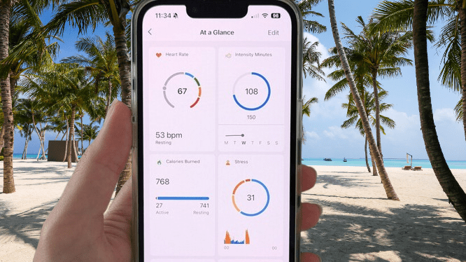 Garmin Cirqa app