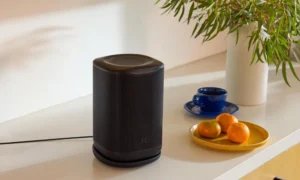 JBL Cove speaker