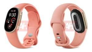 Google Fitbit Edge