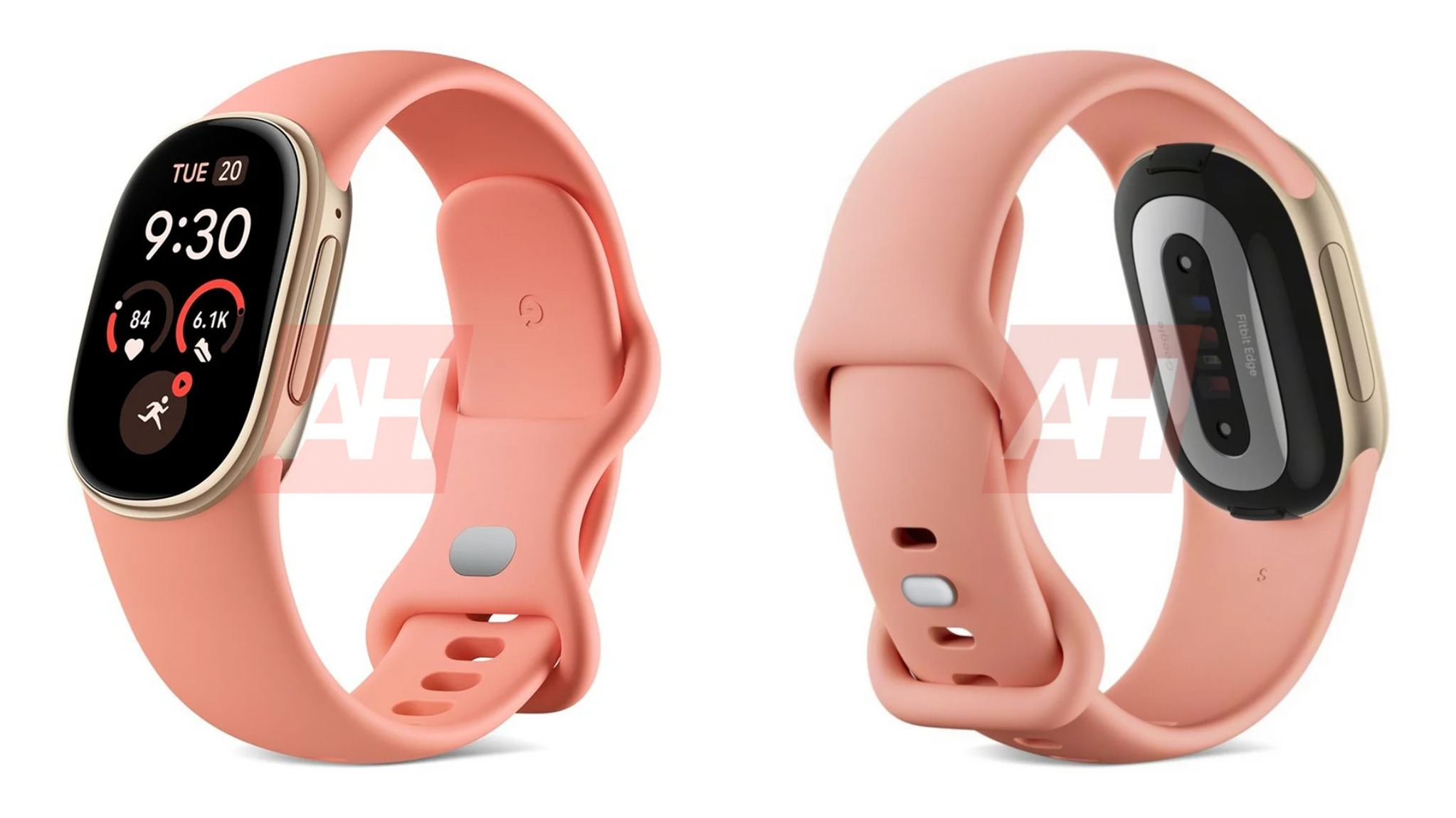 Google Fitbit Edge