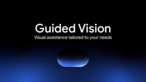 Google Guided Vision