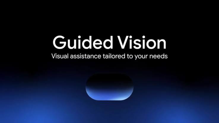 Google Guided Vision